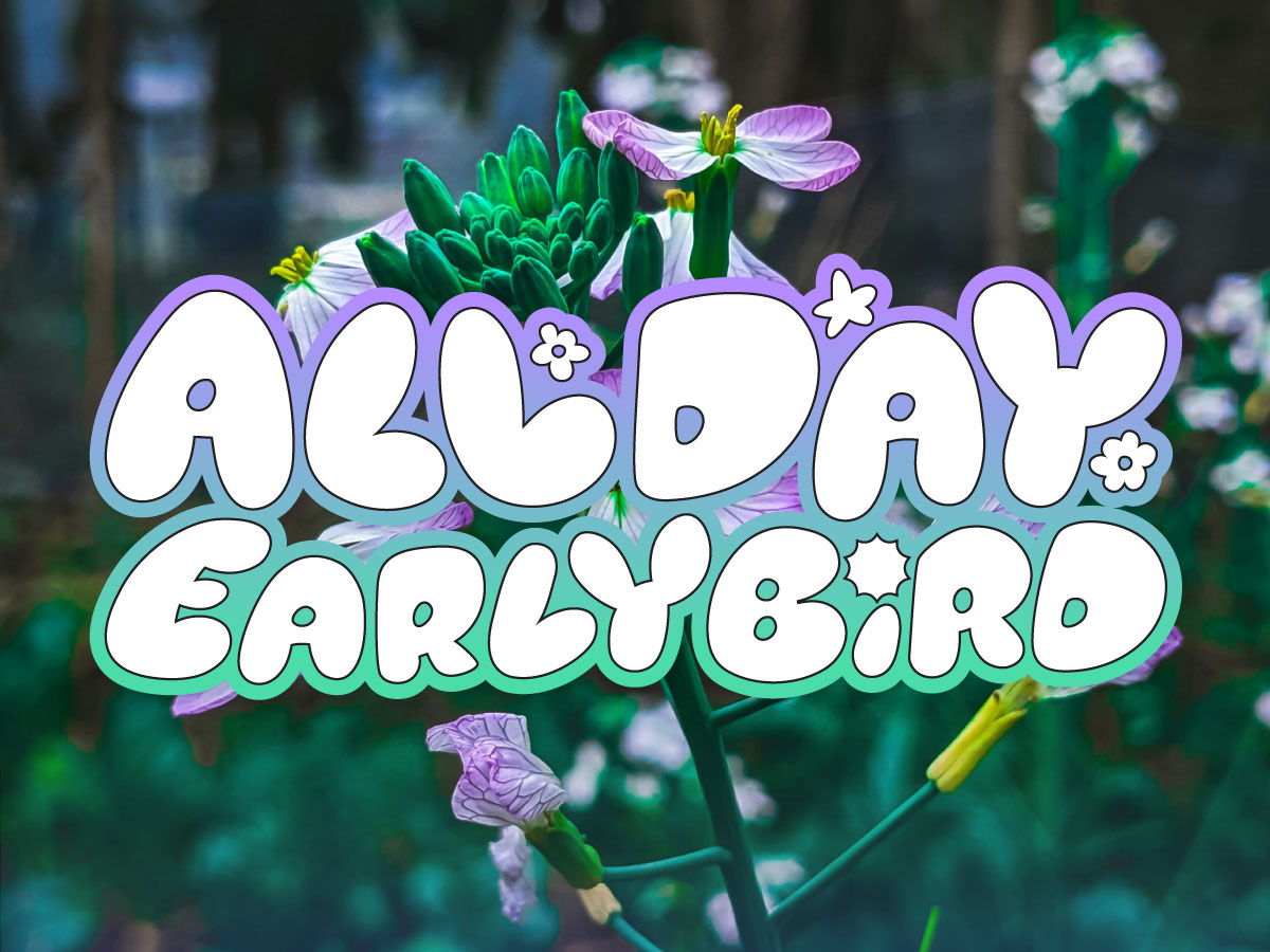 Early Bird Promotion